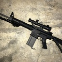 AR10